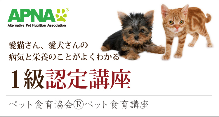 ペット食育講座・1級認定講座