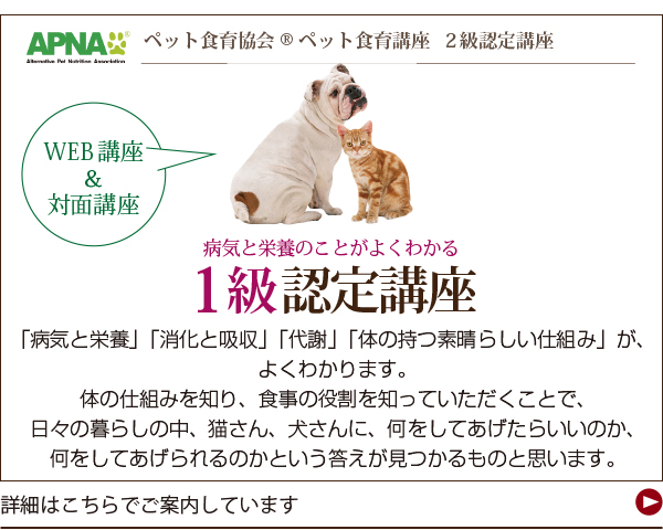 手作りごはんセミナー・APNA 1級認定講座