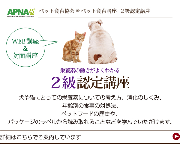 手作りごはんセミナー・APNA 2級認定講座