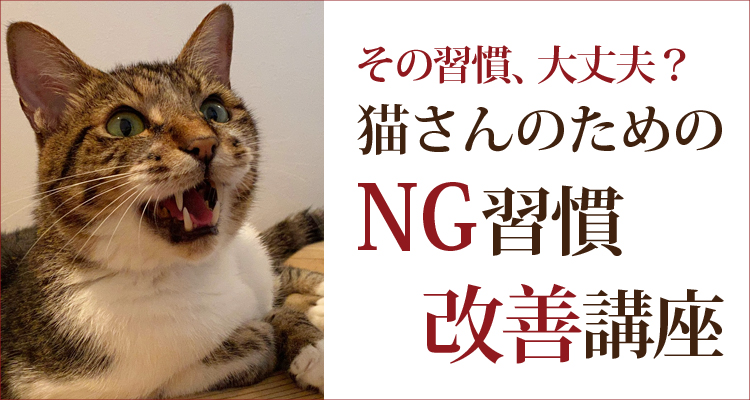 目指すのは病気知らずの猫さん・NG習慣改善講座