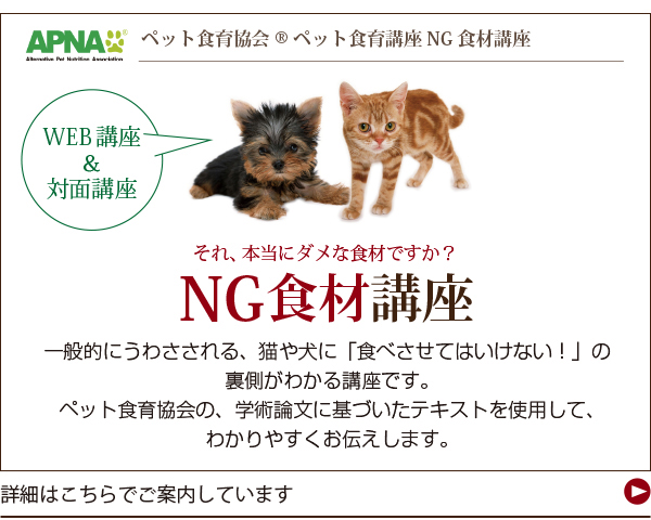 手作りごはんセミナー・APNA NG食材講座