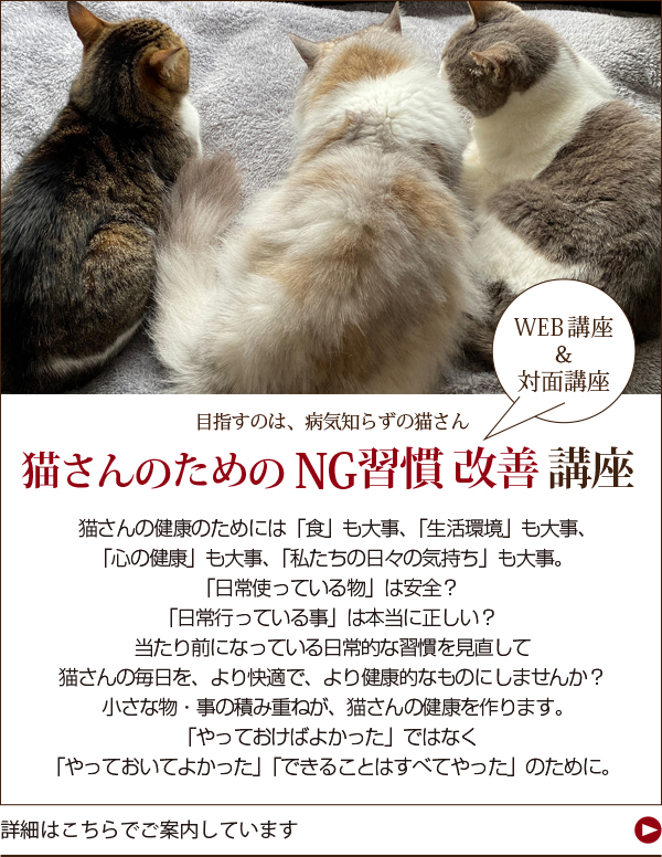 猫さんのNG習慣改善講座