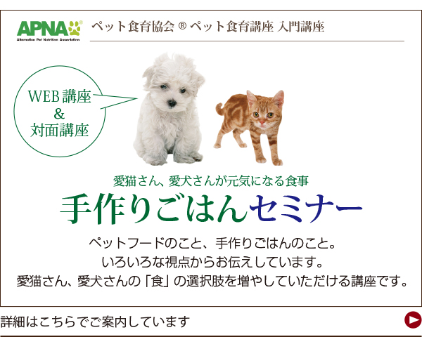 手作りごはんセミナー