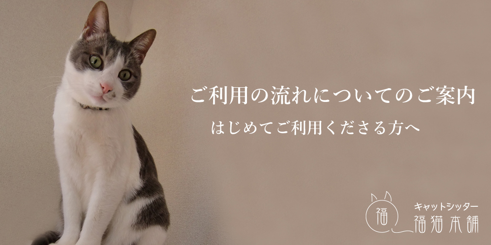 キャットシッター福猫本舗・ご利用の流れについてのご案内・はじめての方