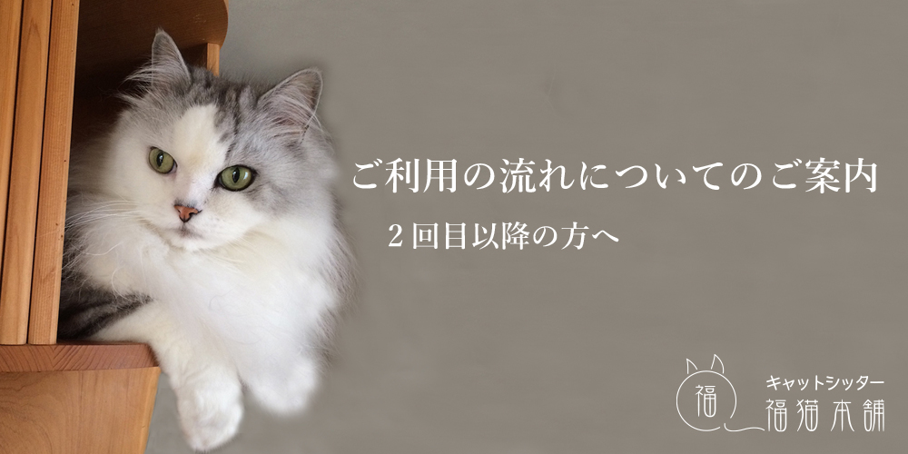 キャットシッター福猫本舗・ご利用の流れについてのご案内・2回目以降の方
