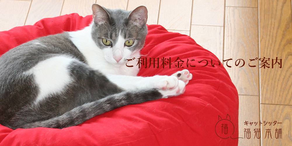 キャットシッター福猫本舗・ご利用料金のご案内