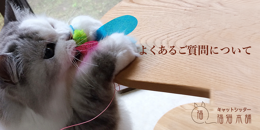 キャットシッター福猫本舗・お世話内容のご案内